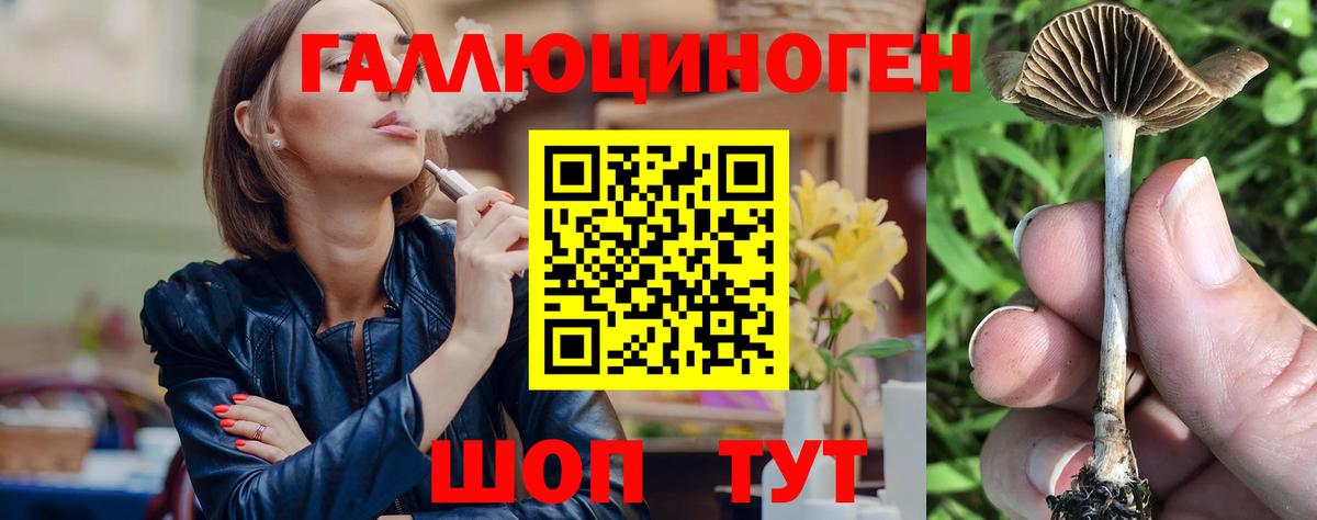 Галлюциногенные грибы ЛСД Грозный