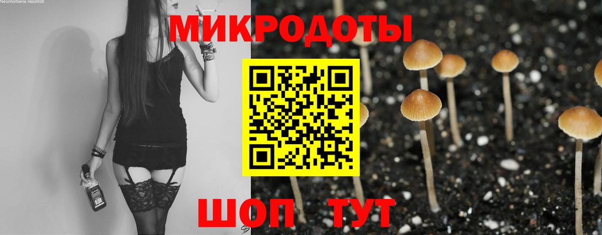 Галлюциногенные грибы Psilocybe  Вход с VPN  Грозный  Галлюциногенные грибы ЛСД 